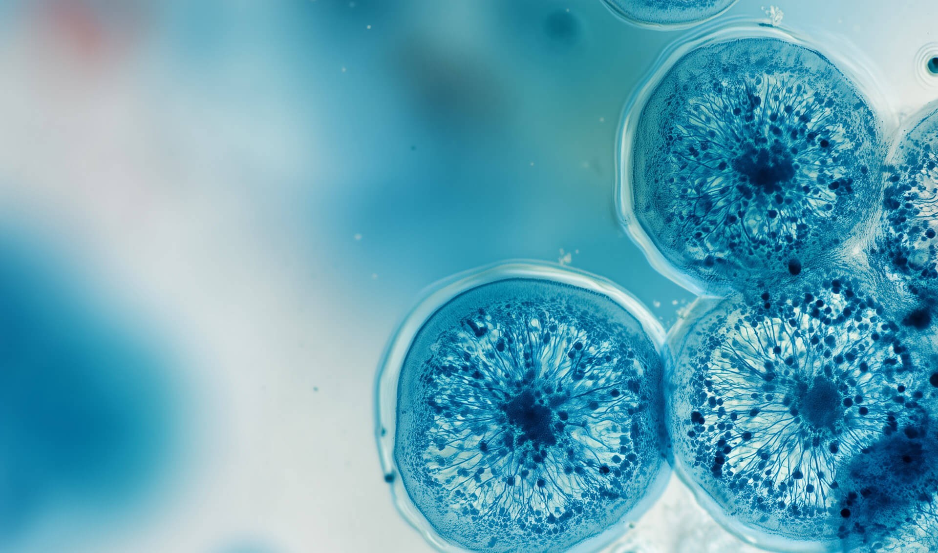 260112_CERTANIA_biotec_AI_MicrobesMicroscope 260112_CERTANIA_biotec_AI_MicrobesMicroscope